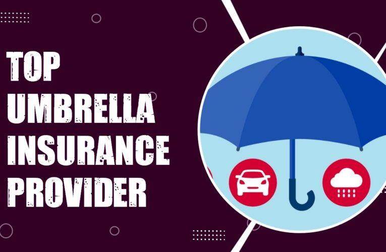 Securing Peace of Mind: Exploring the Top Umbrella Insurance Provider in the UK